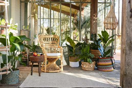 tendance-jardin-mediterranneen